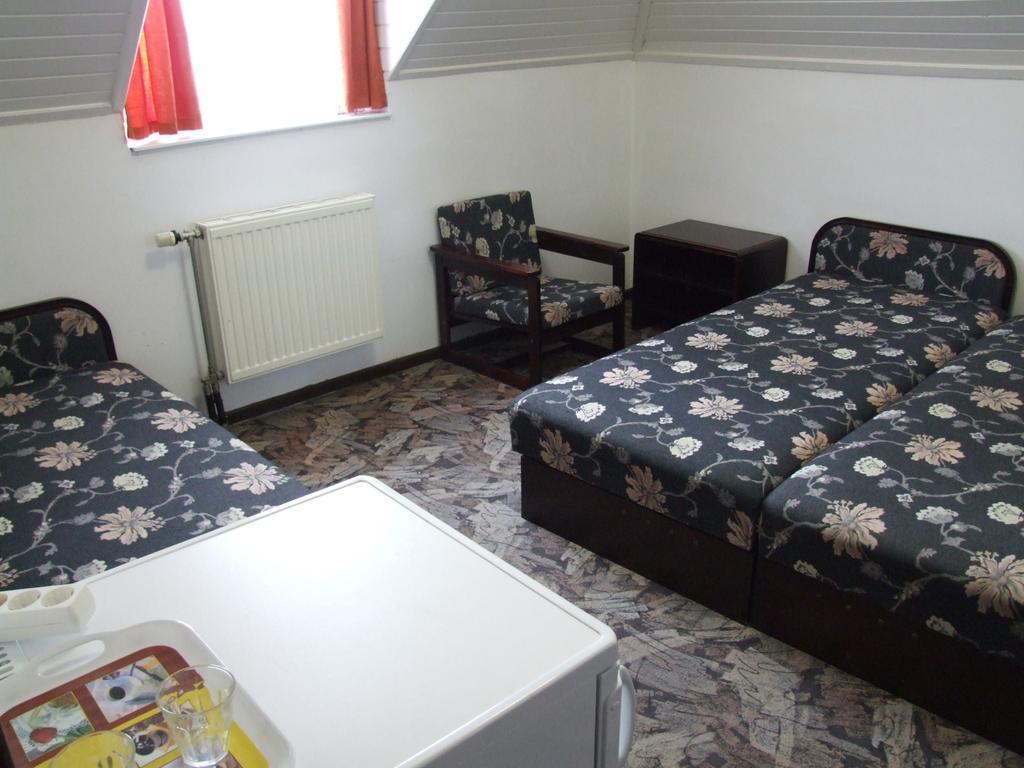 Aranyhid Hotel Balatonboglár 部屋 写真